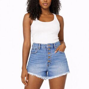 Sincerely Jules High-Rise Button Fly Denim Shorts | Raw Hem | Size 5 / 27